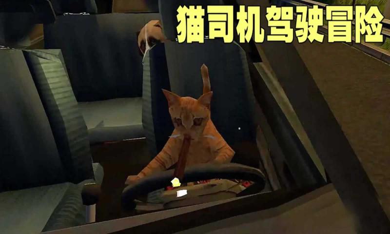 猫司机