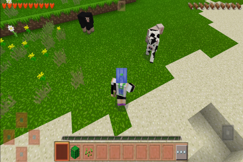 生存战争2.4汉化版