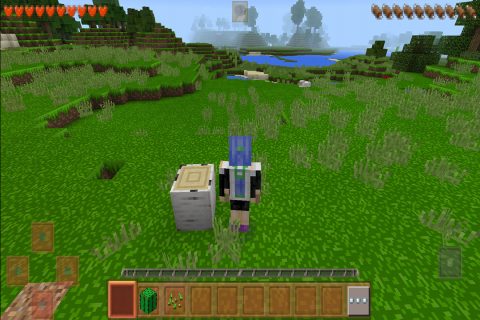 生存战争2.4汉化版