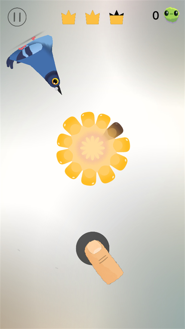 疯狂的鸽子游戏免费版