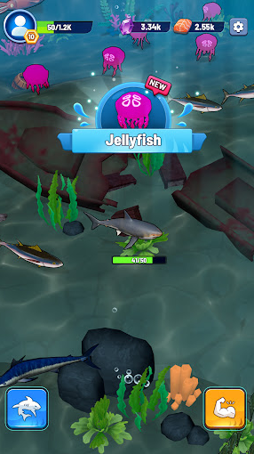 鲨鱼进化吞噬与成长